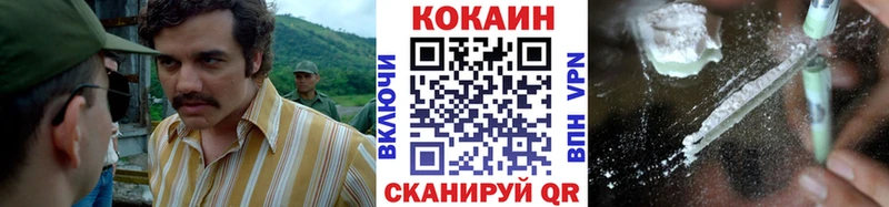 Купить закладки  Удомля  COCAIN Боливия 